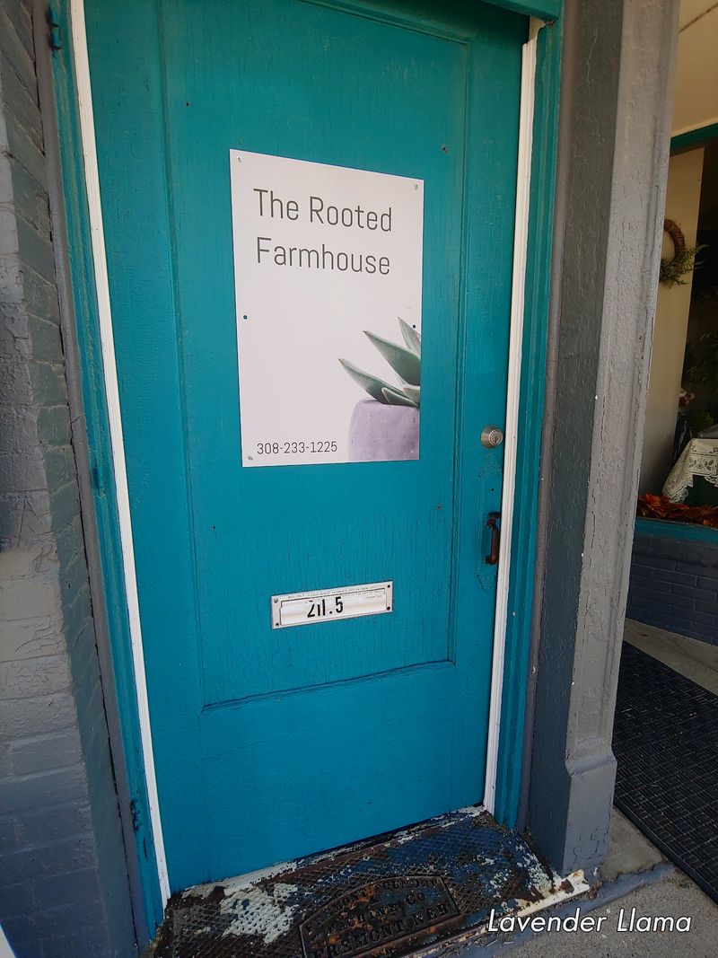 The Rooted Farmhouse