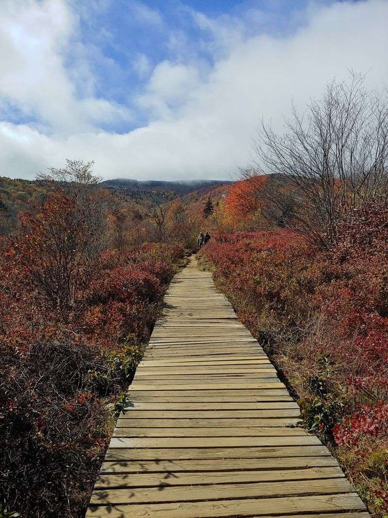 This Short North Carolina Hike Leads To Breathtaking Fall Scenery And Two Stunning Waterfalls - Decor Hint The Mile-High Valley Looks Completely Different Once The Leaves Begin To Turn