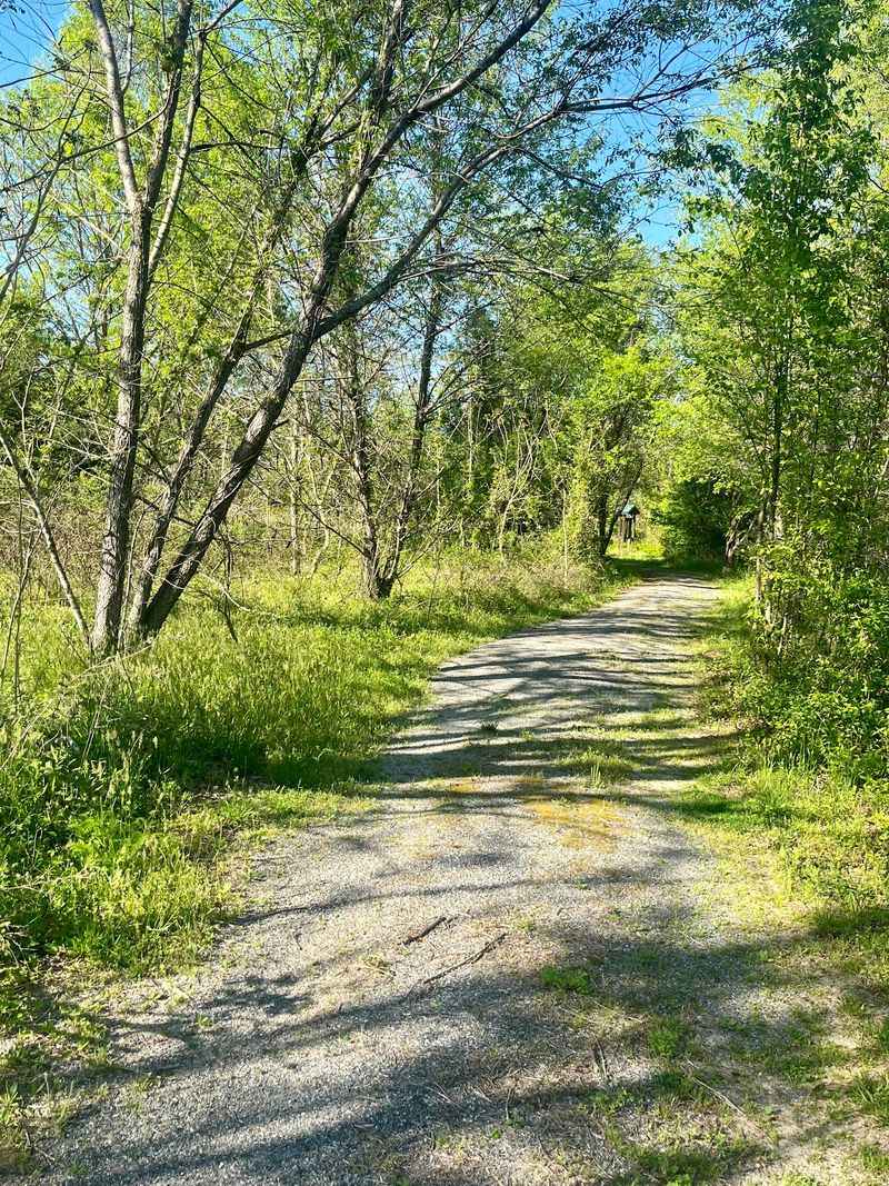 10 Virginia Bird Sanctuaries Where A Quiet Morning Can Turn Into Something Unforgettable - Decor Hint Rappahannock River Valley National Wildlife Refuge, Warsaw