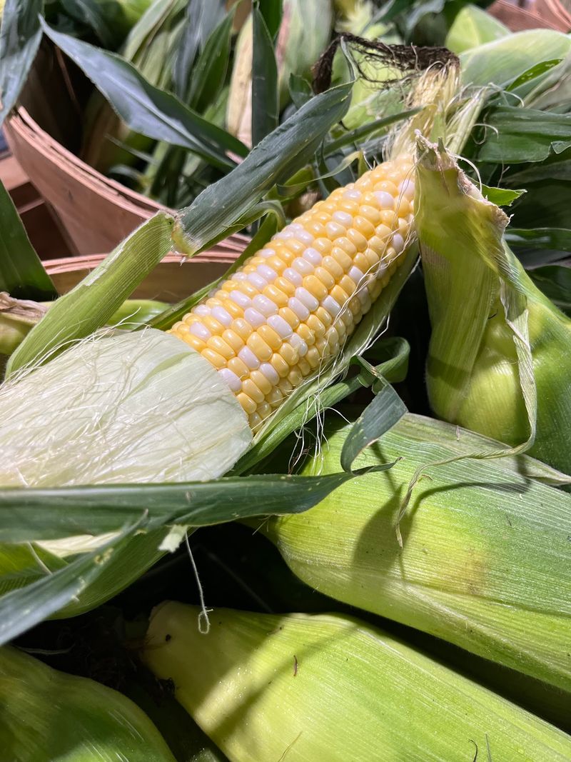 This Kentucky Family Farm Sells Pasture-Raised Beef And Fresh Blue Eggs Straight From The Source - Decor Hint Rows And Rows Of Colorful Produce