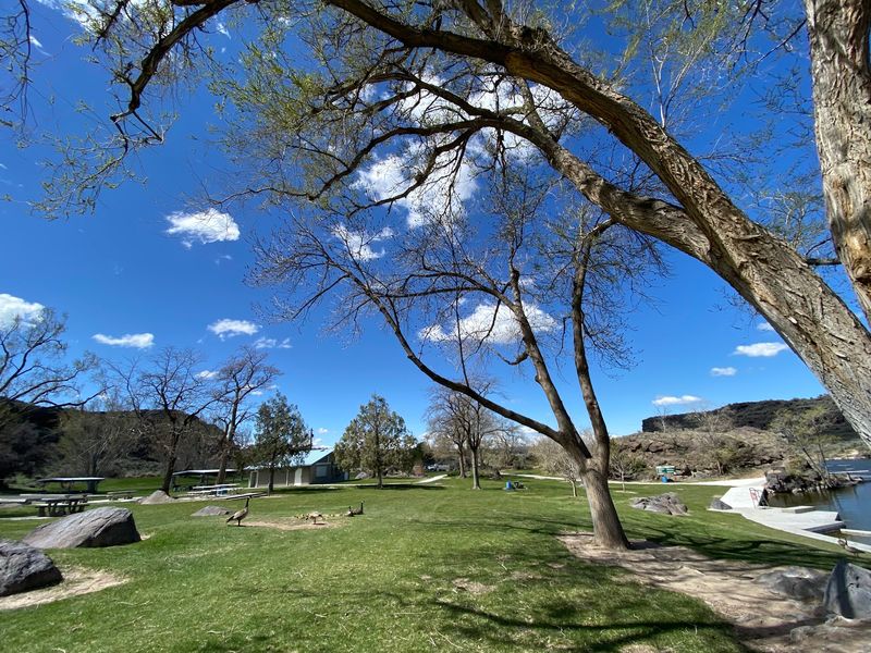 Picnic Lawns, a Lake, and a Gift Shop Up the Hill