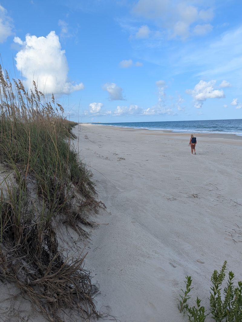 This North Carolina Kayaking Adventure Takes You Across A Lake Where Wild Alligators Roam - Decor Hint An Undeveloped Barrier Island Waits Across The Water