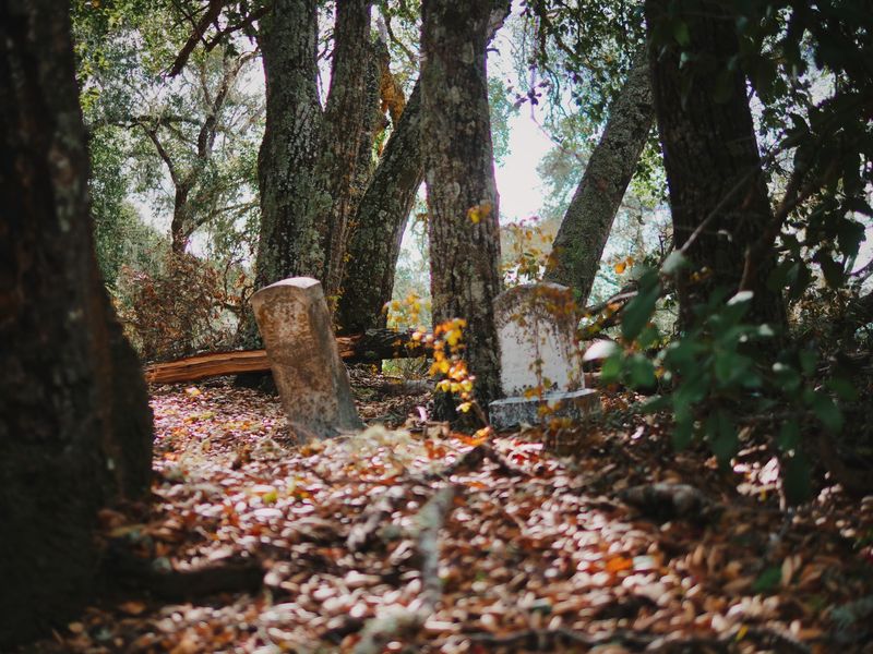 Adelaida Cemetery