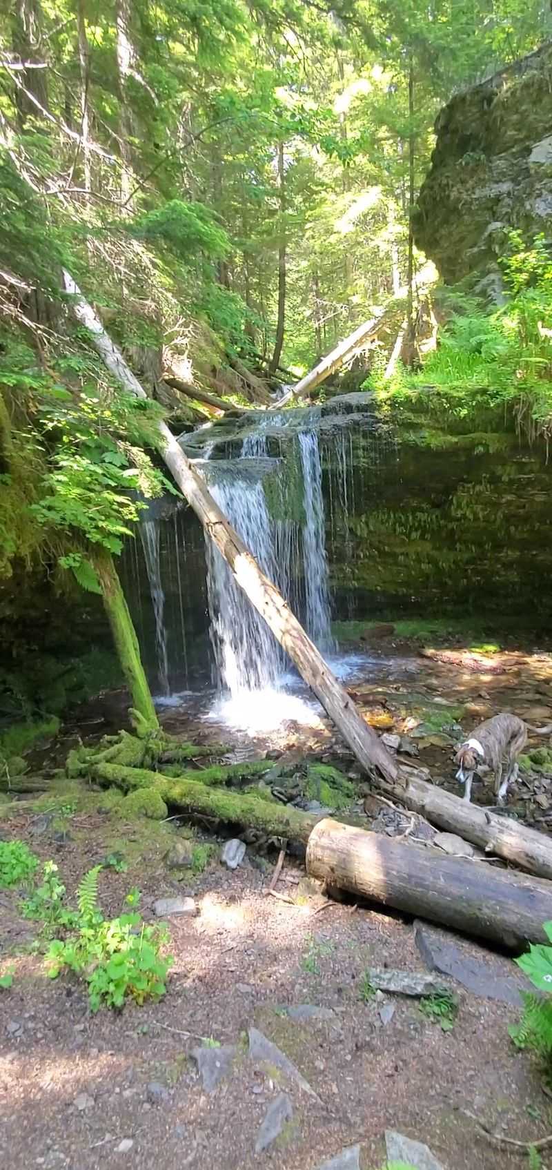9 Idaho Waterfalls That Still Roar In October When Dams Turn Shoshone Falls To A Trickle - Decor Hint Fern Falls In Shoshone County