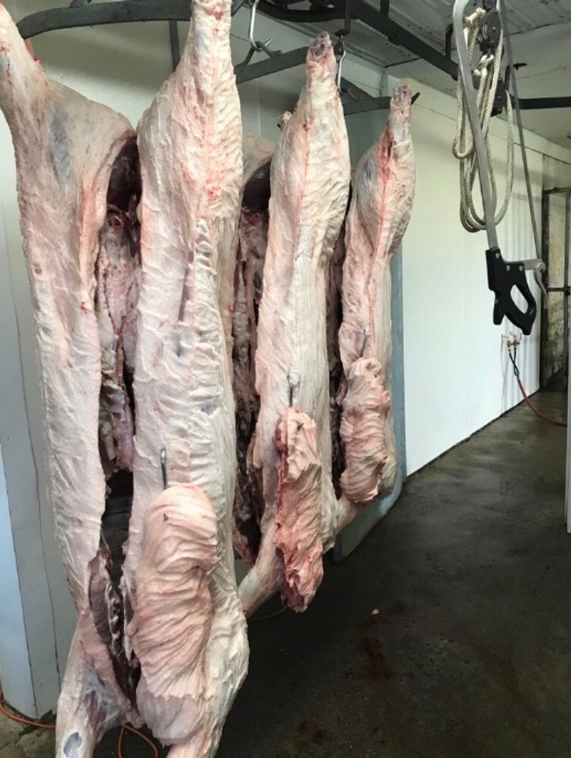These 10 Kentucky Farms Raise Their Own Beef And Let You Take It Straight Home To Your Table - Decor Hint Downing Cattle Company