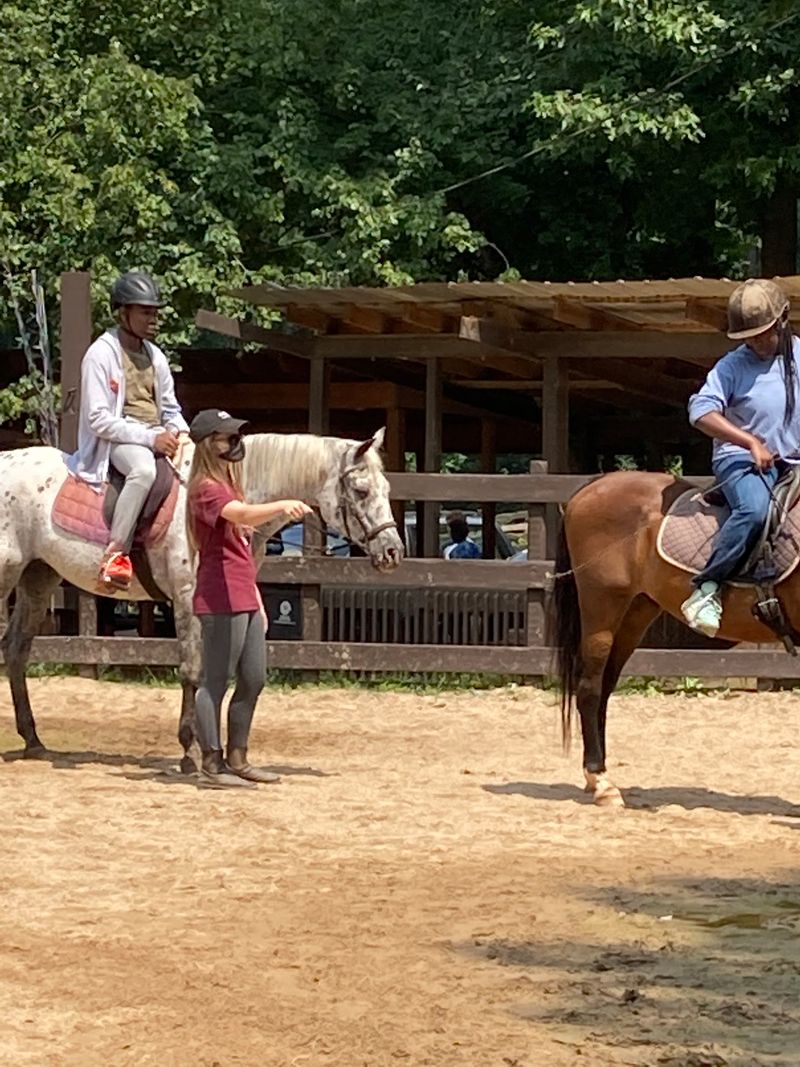 One-Time Rides For The Curious