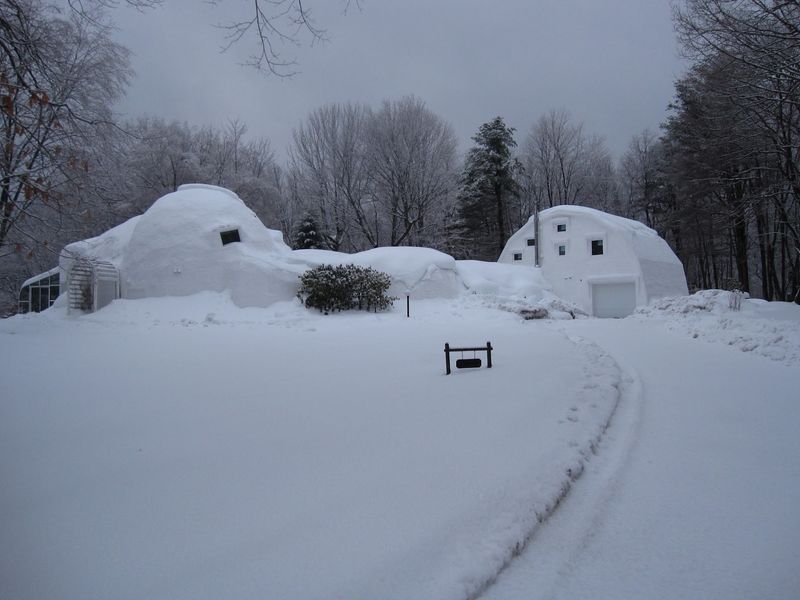 A Dome-Shaped Home That Looks Like It Landed In The Forest