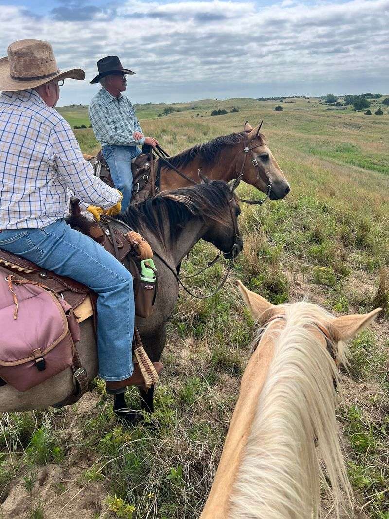 Rowse's 1+1 Ranch