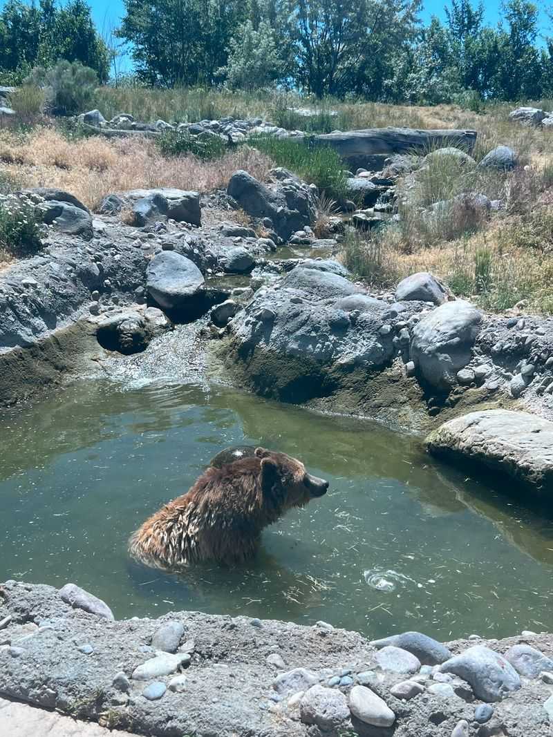 A Zoo That Refuses To Import Anything Exotic