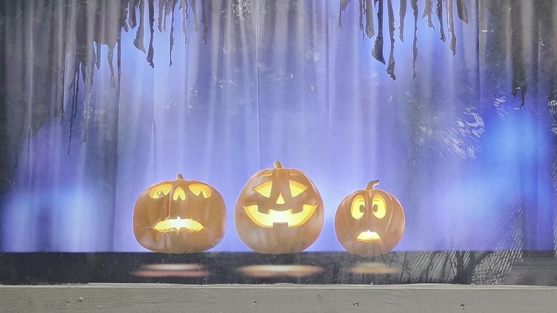 A Fall Theme Park Hiding Inside A Pumpkin Farm