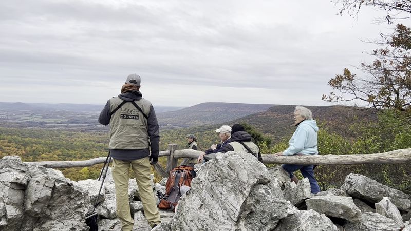 Every October, Thousands Of Hawks Stream Past This Pennsylvania Mountaintop Lookout - Decor Hint The World's First Refuge Built Just For Birds Of Prey