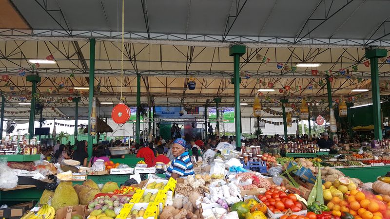 Where Sunrise Boulevard Opens Onto Acres of Stalls