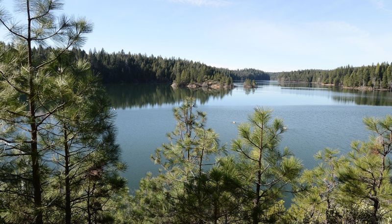 Grab A Paddle Because The Lake Is Calling