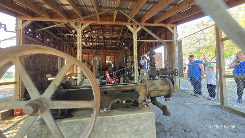 Browse Hundreds Of Craft, Artisan And Equipment Displays