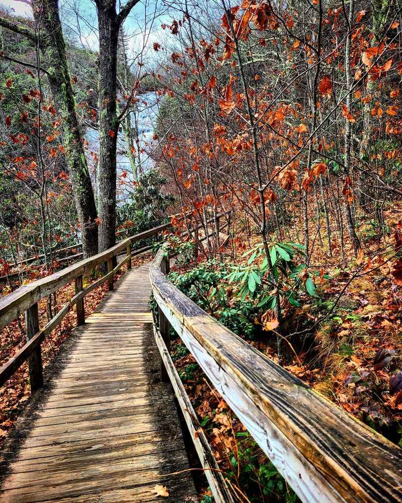 An Easy Loop Packs Waterfalls And Brilliant Foliage Into One Short Hike