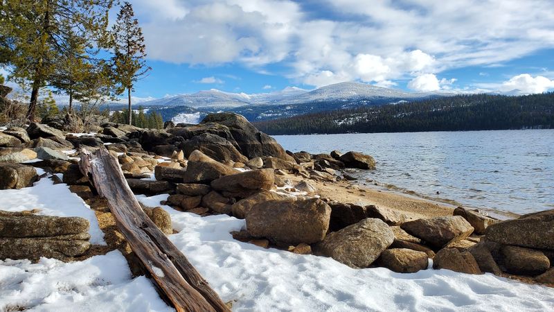 Snowy Months Bring Quiet, Calm, And Happy Dogs