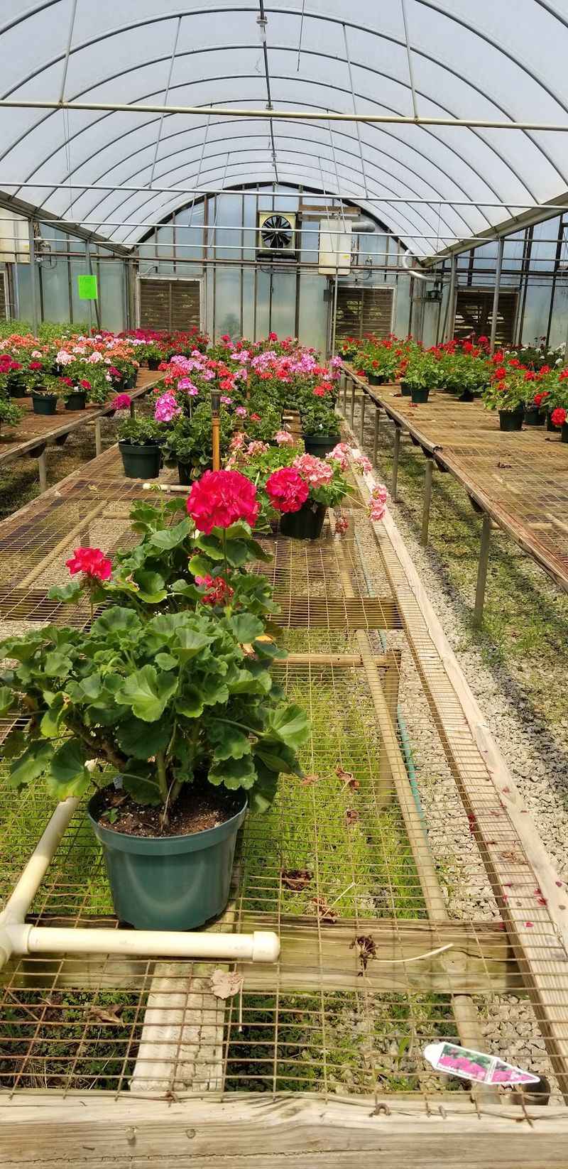 Hands-On Classes That Grow More Than Plants