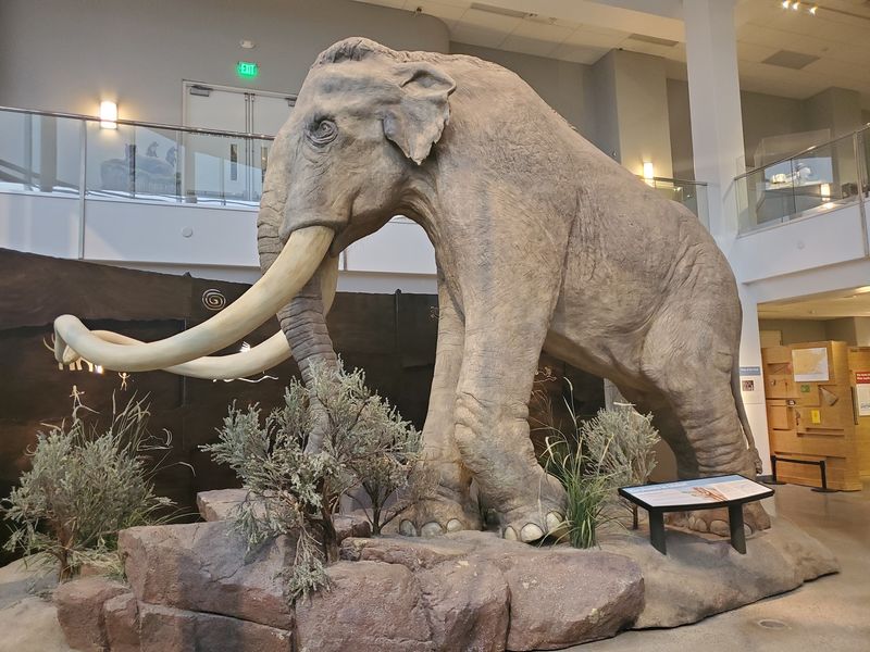 A Downtown Museum With A Very Big Job