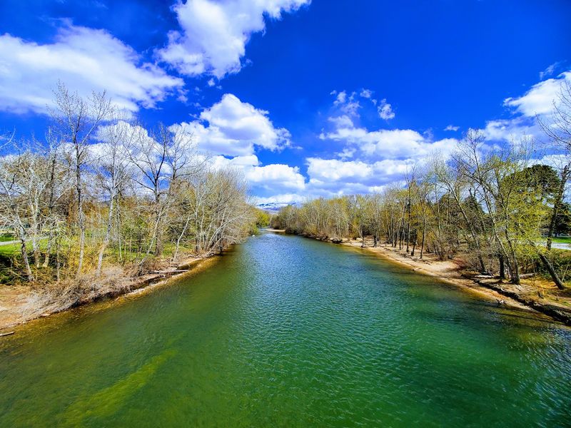 A Downtown Green Beside The Boise River