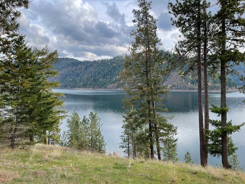 A Rocky Point Where The Lake Runs Out Of Room