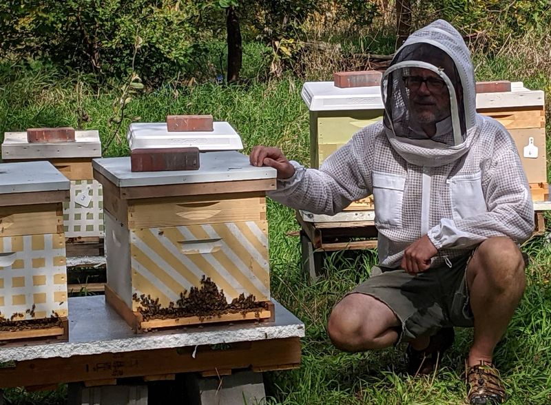 Country Road Bees Pure Raw Honey