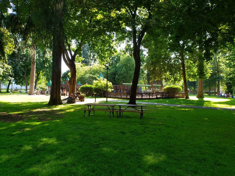 Old Shade Trees Do The Cooling For You