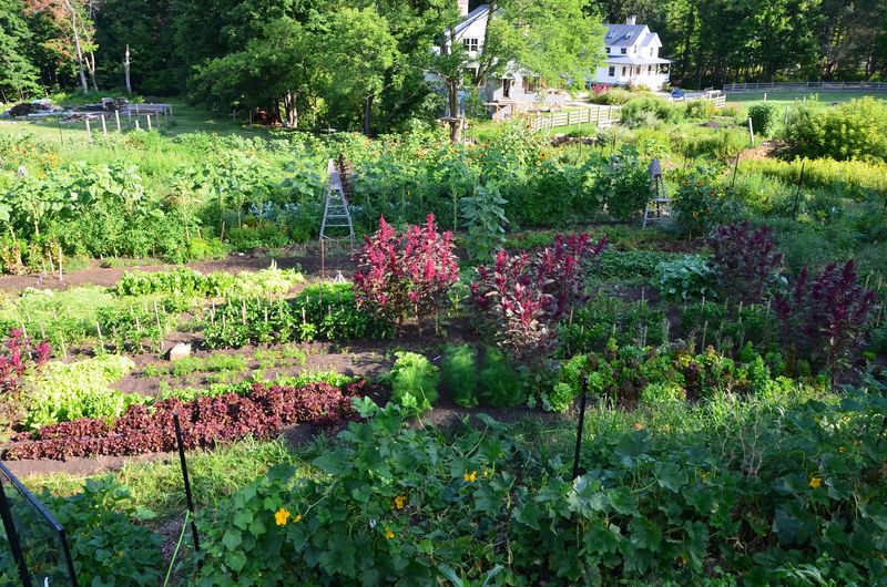 Grab Fresh Goodies At The Little Farm Stand Called The Shack