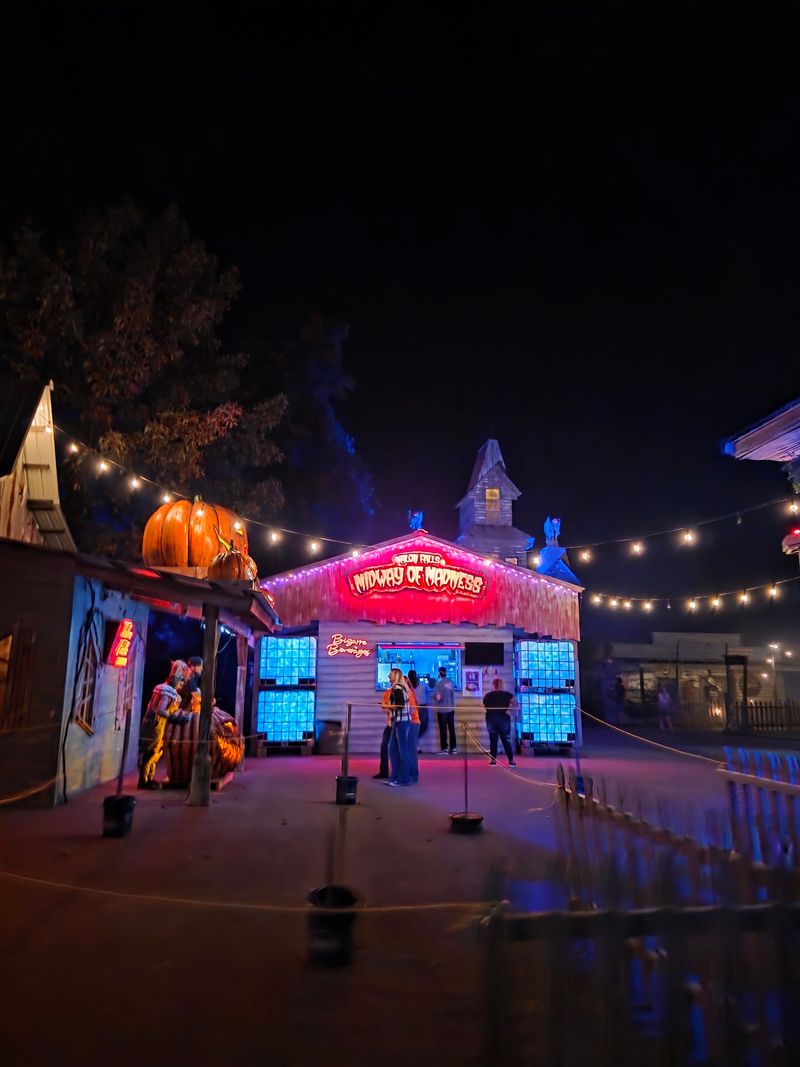 Your Only Friend On Flashlight Fright Night Is A Little Beam Of Light