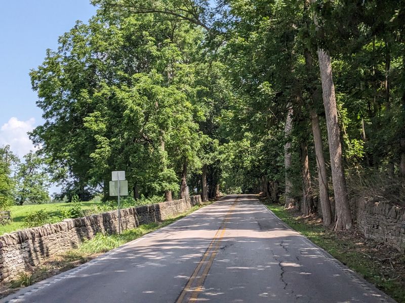 Kentucky Has A Breathtaking Tree Tunnel Road, And It Looks Straight Out Of A Movie - Decor Hint Yes, The Road Is Officially A Big Deal