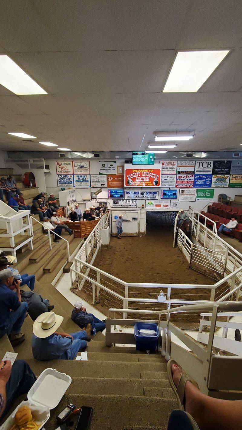 Since 1937 This Nebraska Sale Barn Cafe Has Fed Ranchers Hot Beef Sandwiches On Auction Day - Decor Hint Timing Your Trip Around Office Hours And Sale Days