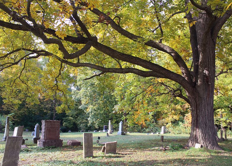 Franklin Cemetery, Berrien Center