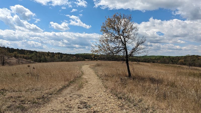Soldiers Delight Natural Environment Area