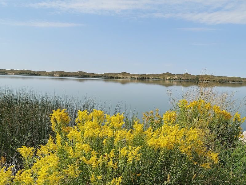 Before You Drive Out Know That Nebraska's Sandhills Hold A Lake Where Bison Wade At Dusk - Decor Hint Little Hay Valley Rewards Slow Drivers