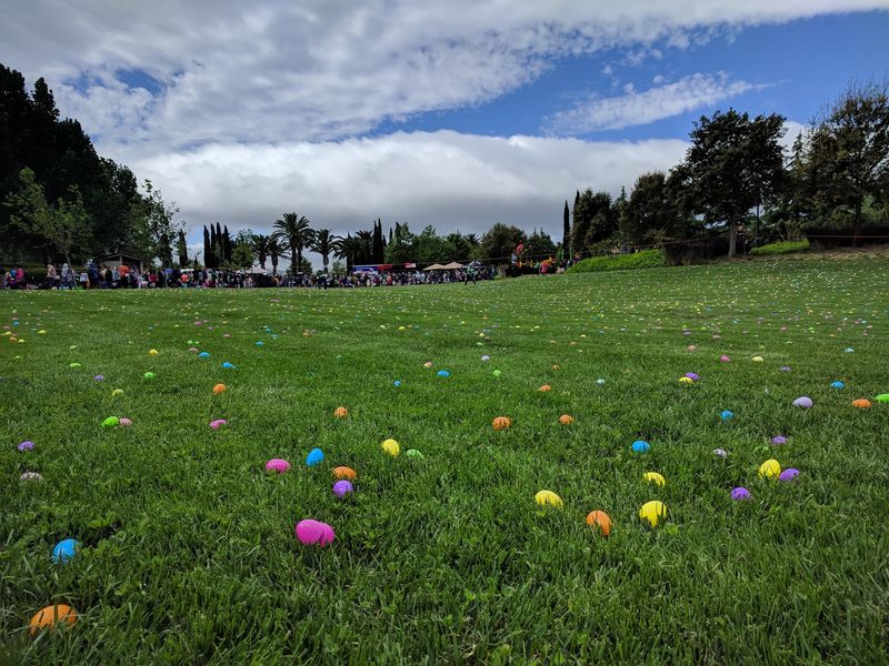 Kites, Parades, And Movie Nights Fill The Calendar