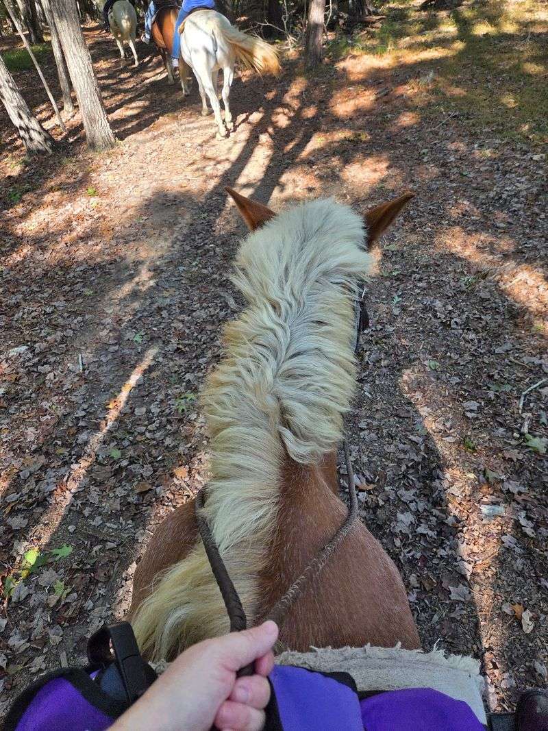 Cross Creeks And Rolling Hills Without Leaving The Saddle