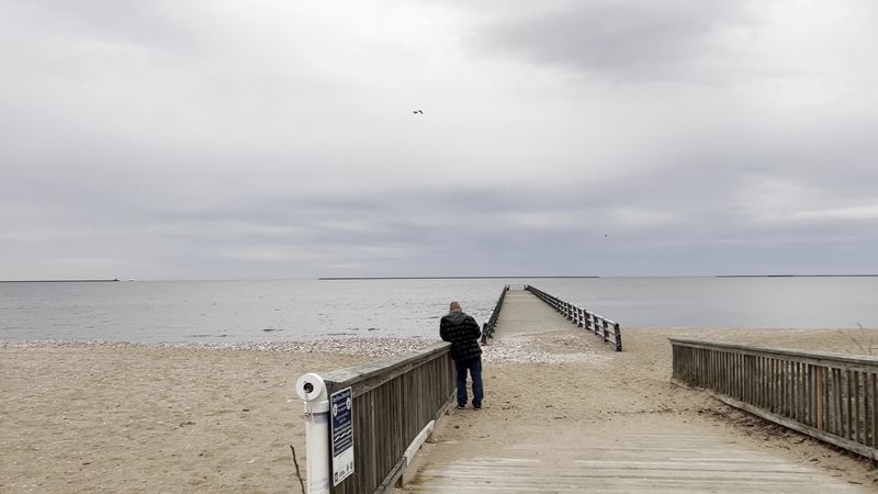 Your Pup Will Probably Love This Walk Even More Than You