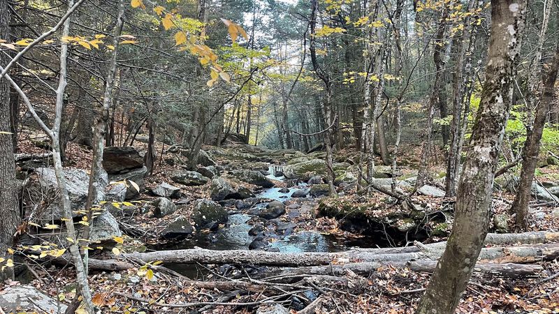 West Granby’s Back Roads Add To The Escape