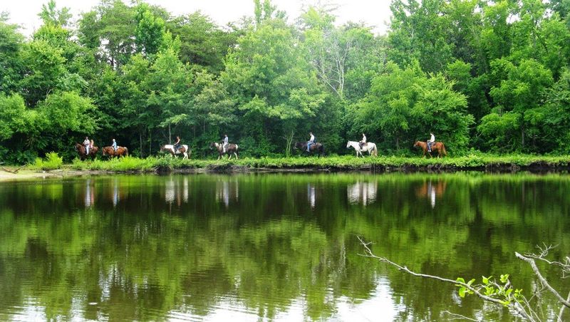 Shangrila Guest Ranch, South Boston