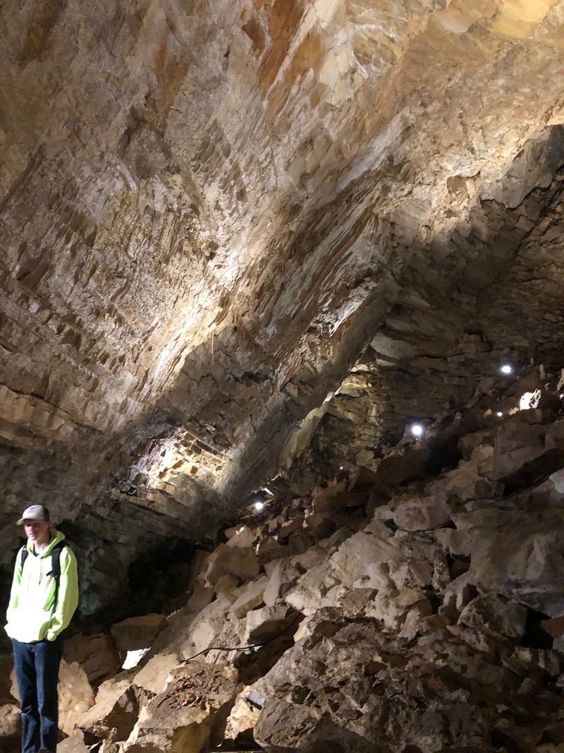 Hundreds Of Bats Pour Out Of Idaho's Minnetonka Cave Region Each Dusk - Decor Hint Nets, Lights, And Field Biologists