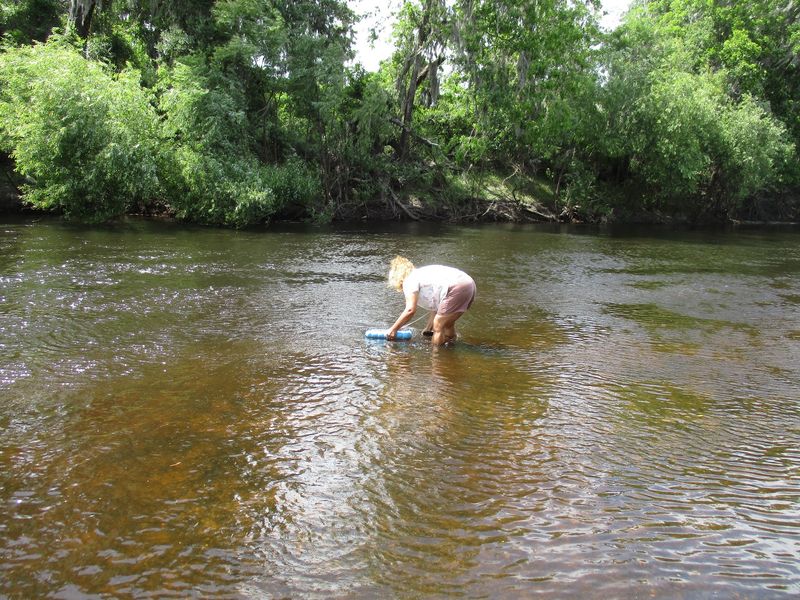 Sift A Riverbed And Take Home Shark Teeth At These 4 Florida Fossil Spots - Decor Hint Brownville Park
