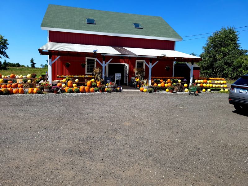 Clover Nook Farm, Bethany 