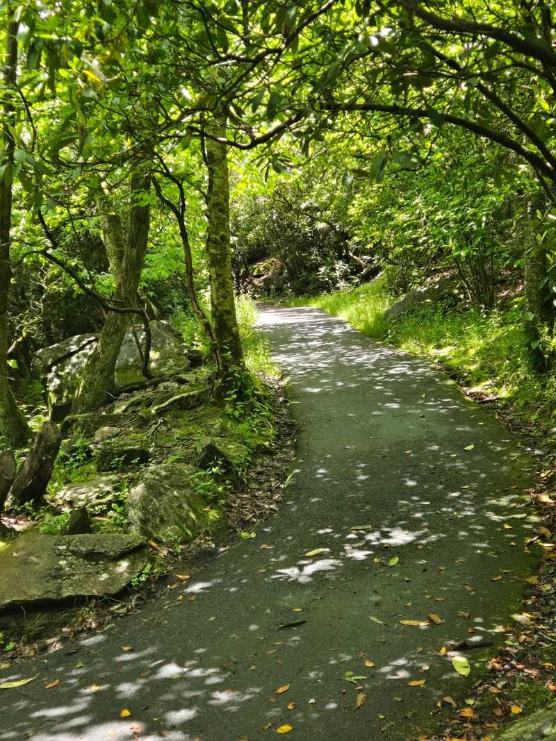 Your Calves Will Have Opinions About The Summit Trail