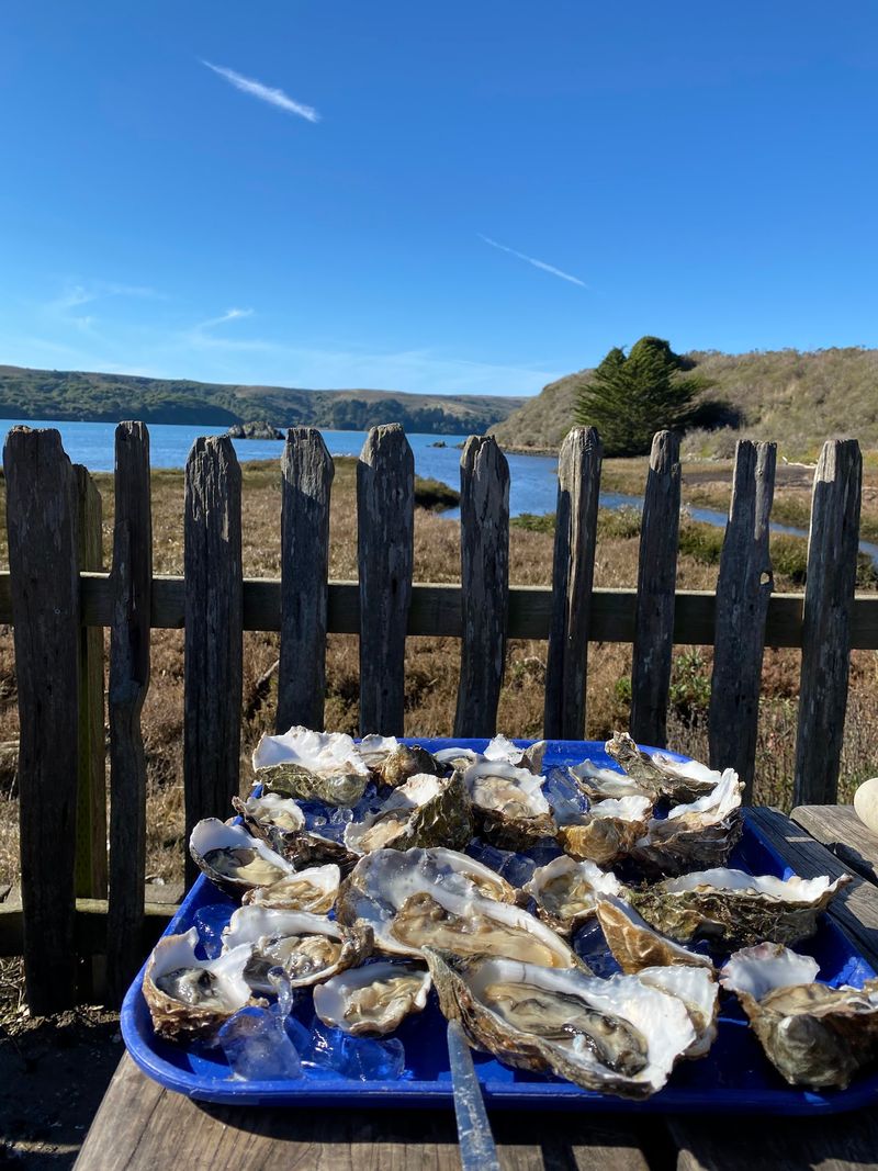 An Oyster Bar And Abalone Tastings Steal The Spotlight