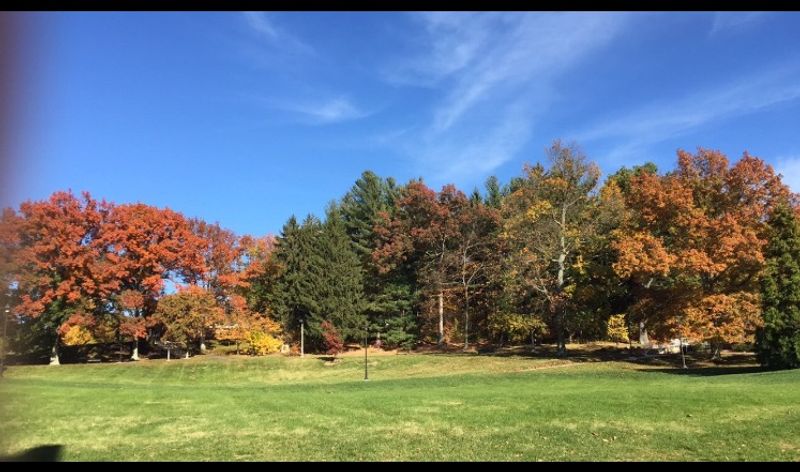 State Parks Practically Next Door
