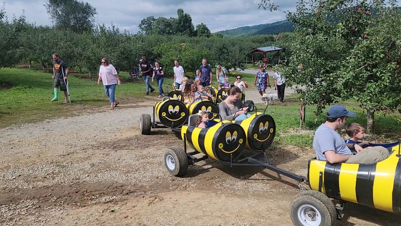 This North Carolina Apple Orchard Was Just Voted One Of The Best In America - Decor Hint Hayrides Turn A Simple Apple Run Into A Full Fall Adventure