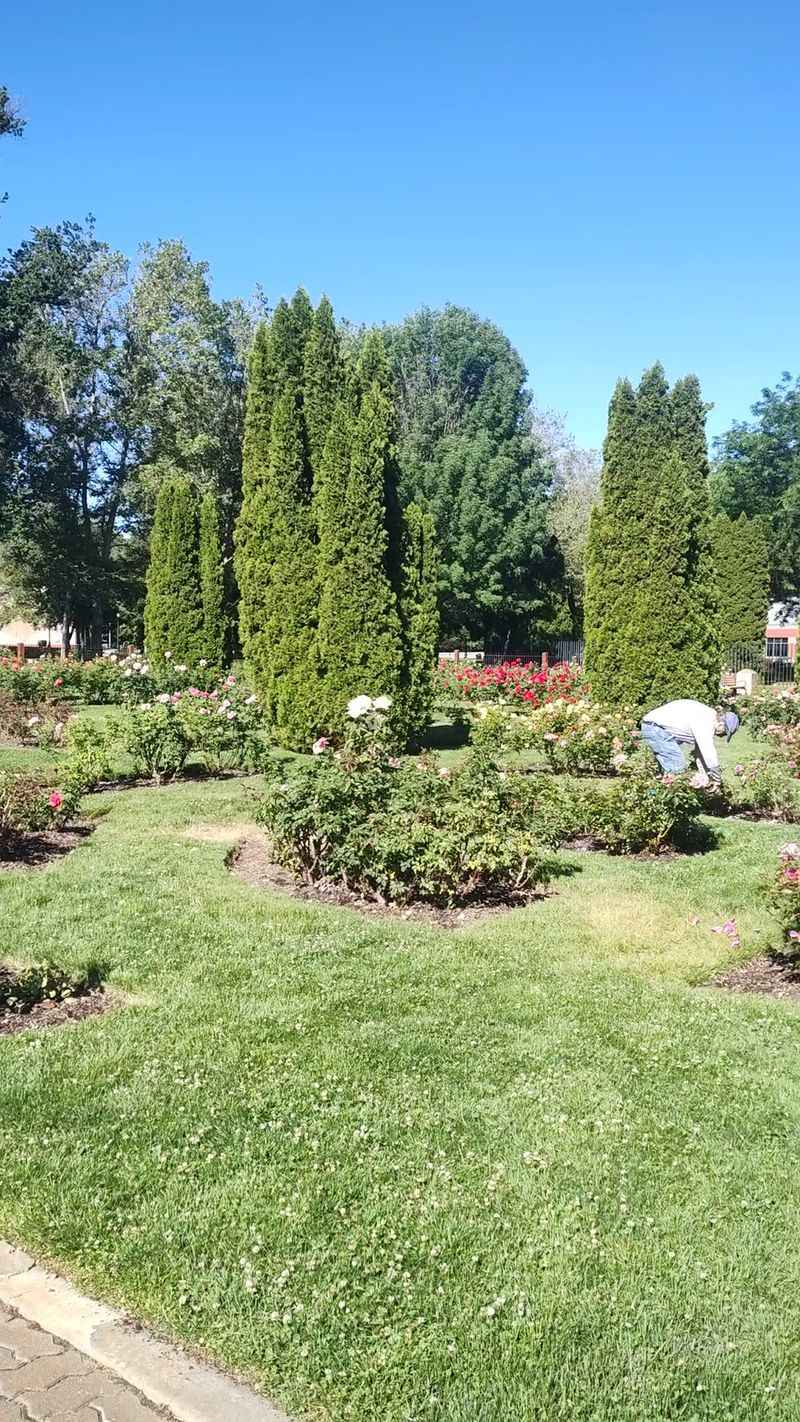 Volunteers Behind Thousands Of Blooms