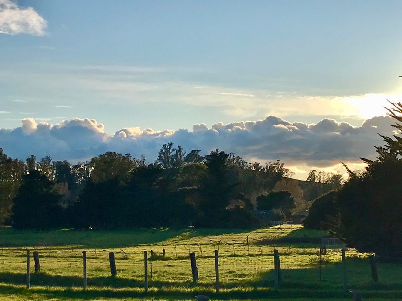 Penngrove And Sonoma County: North Bay Gatherings