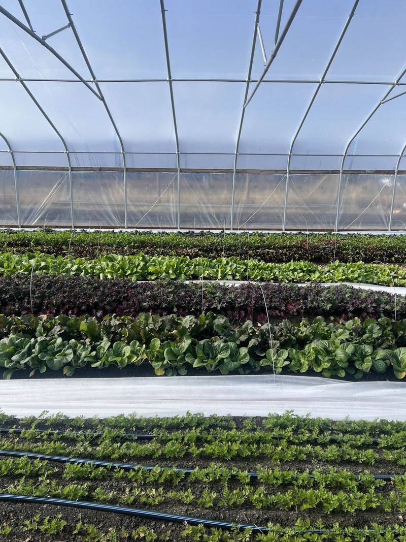 Growing Food Where Winter Takes Its Sweet Time Leaving