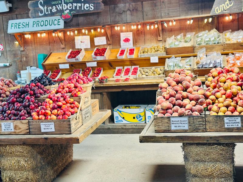This California Apple Orchard Was Just Named Among The Best In America - Decor Hint Picking Apples In A Valley With Deep Roots