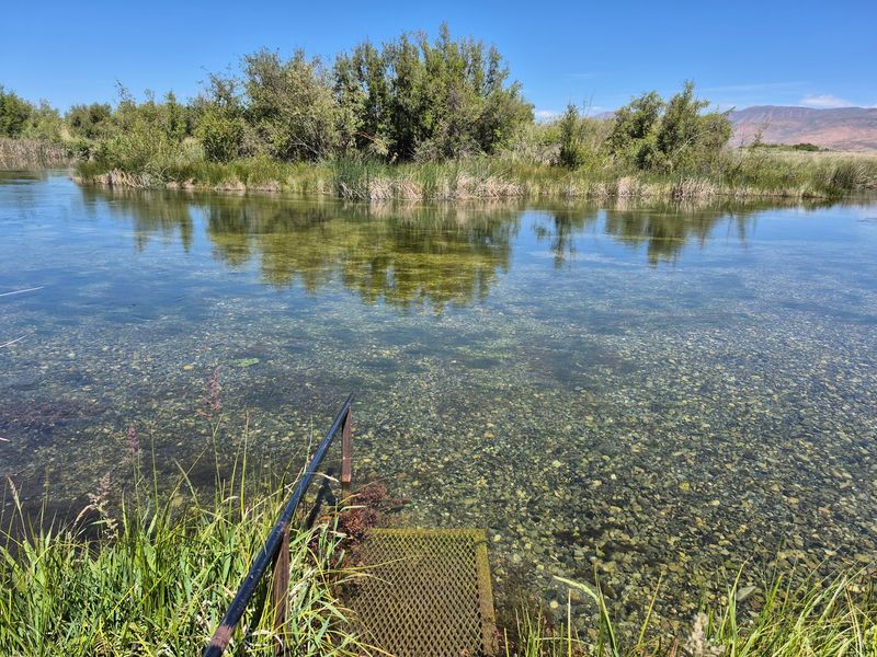 Why The Trout Here Will Humble Your Best Cast